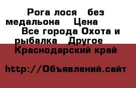 Рога лося , без медальона. › Цена ­ 15 000 - Все города Охота и рыбалка » Другое   . Краснодарский край